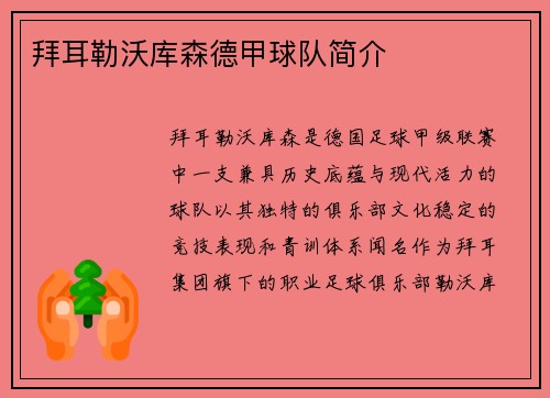 拜耳勒沃库森德甲球队简介