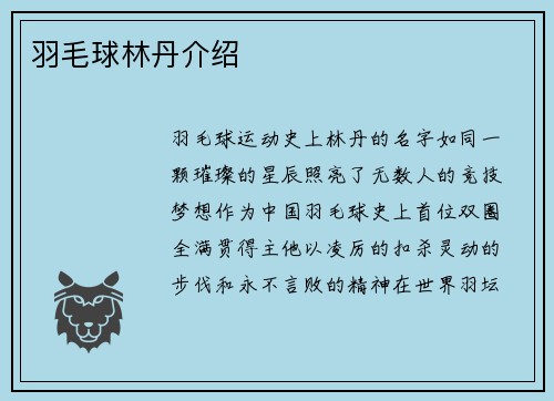 羽毛球林丹介绍